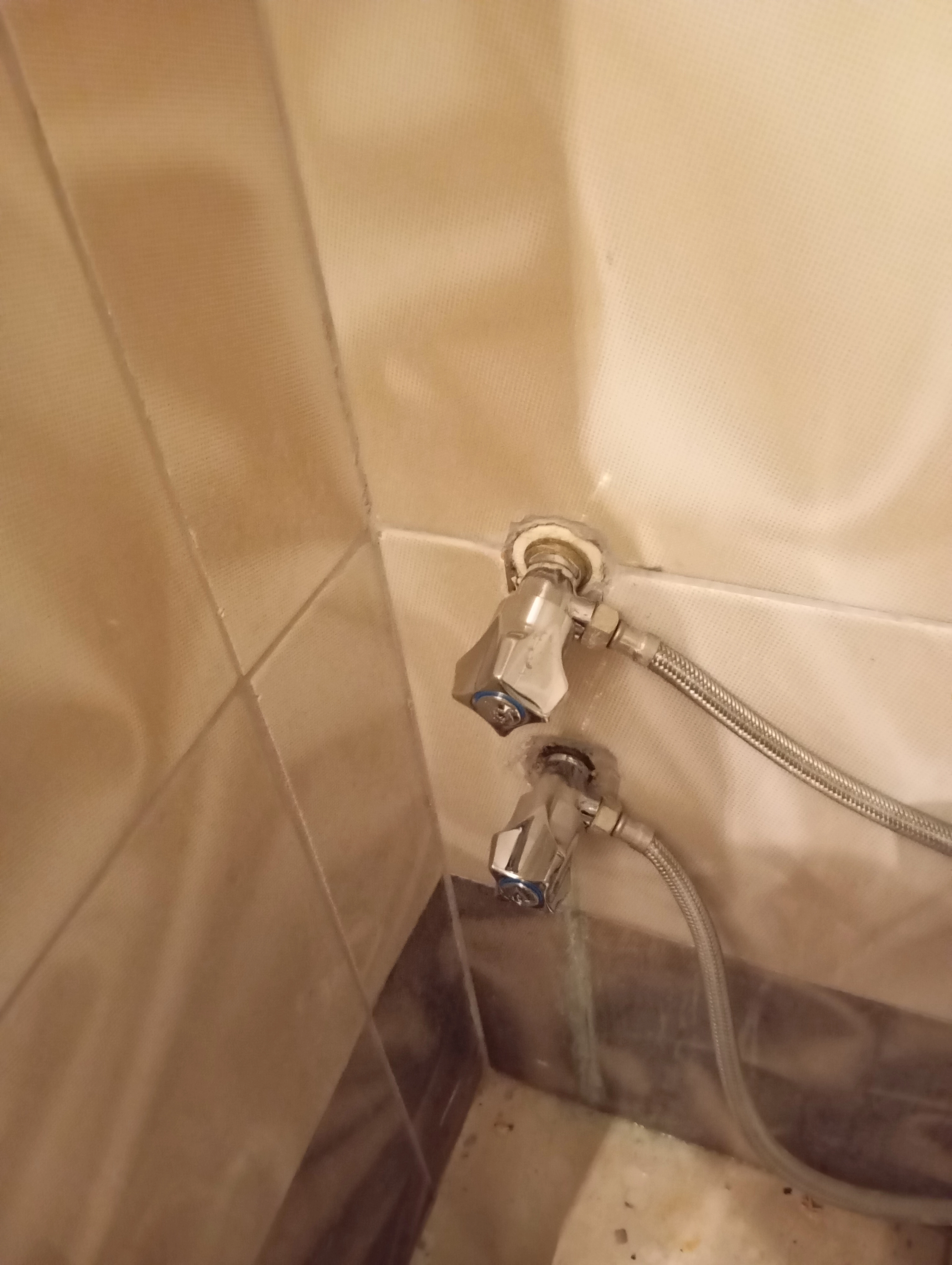 ????️????????????????