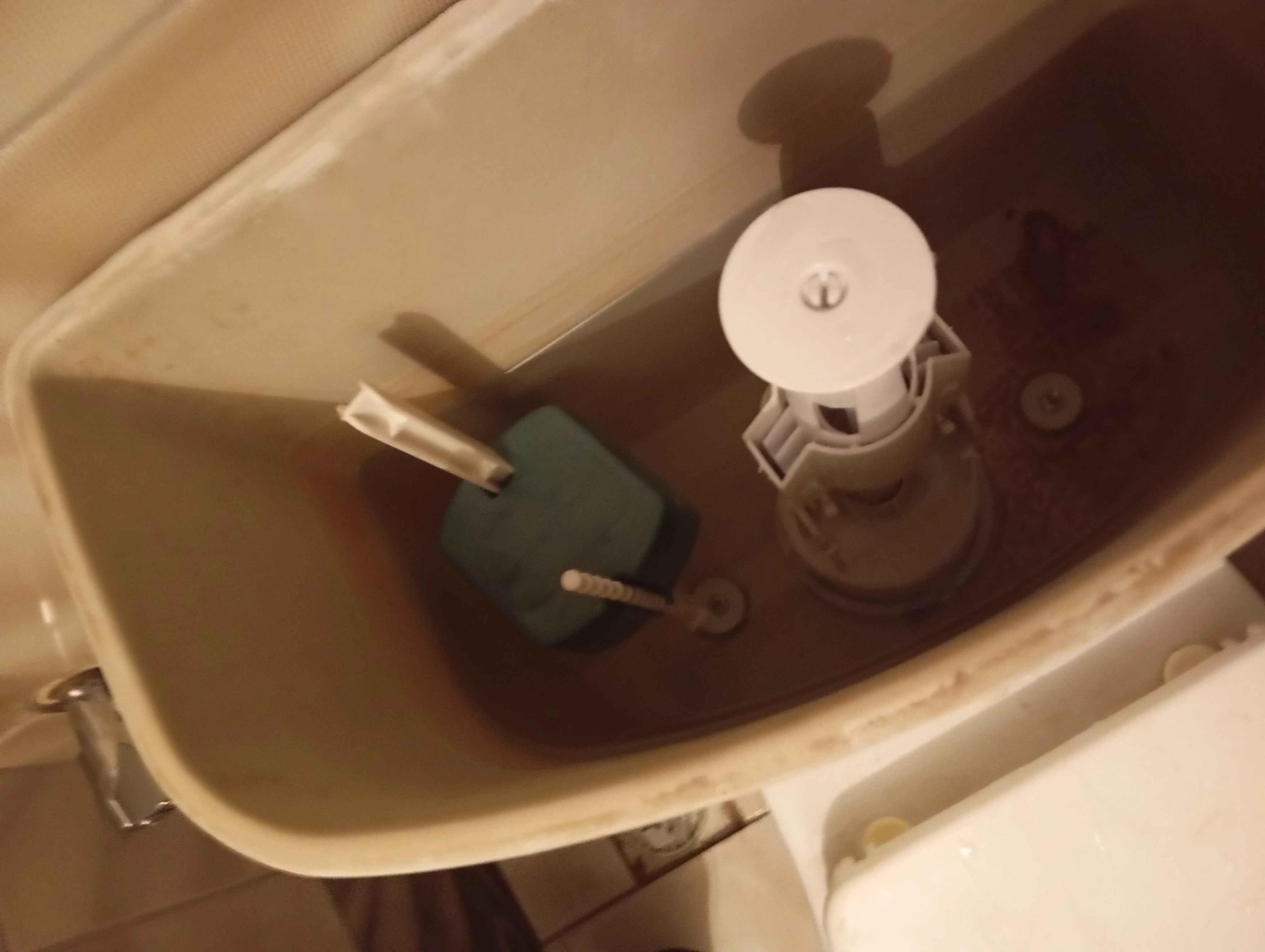 ????️????????????????