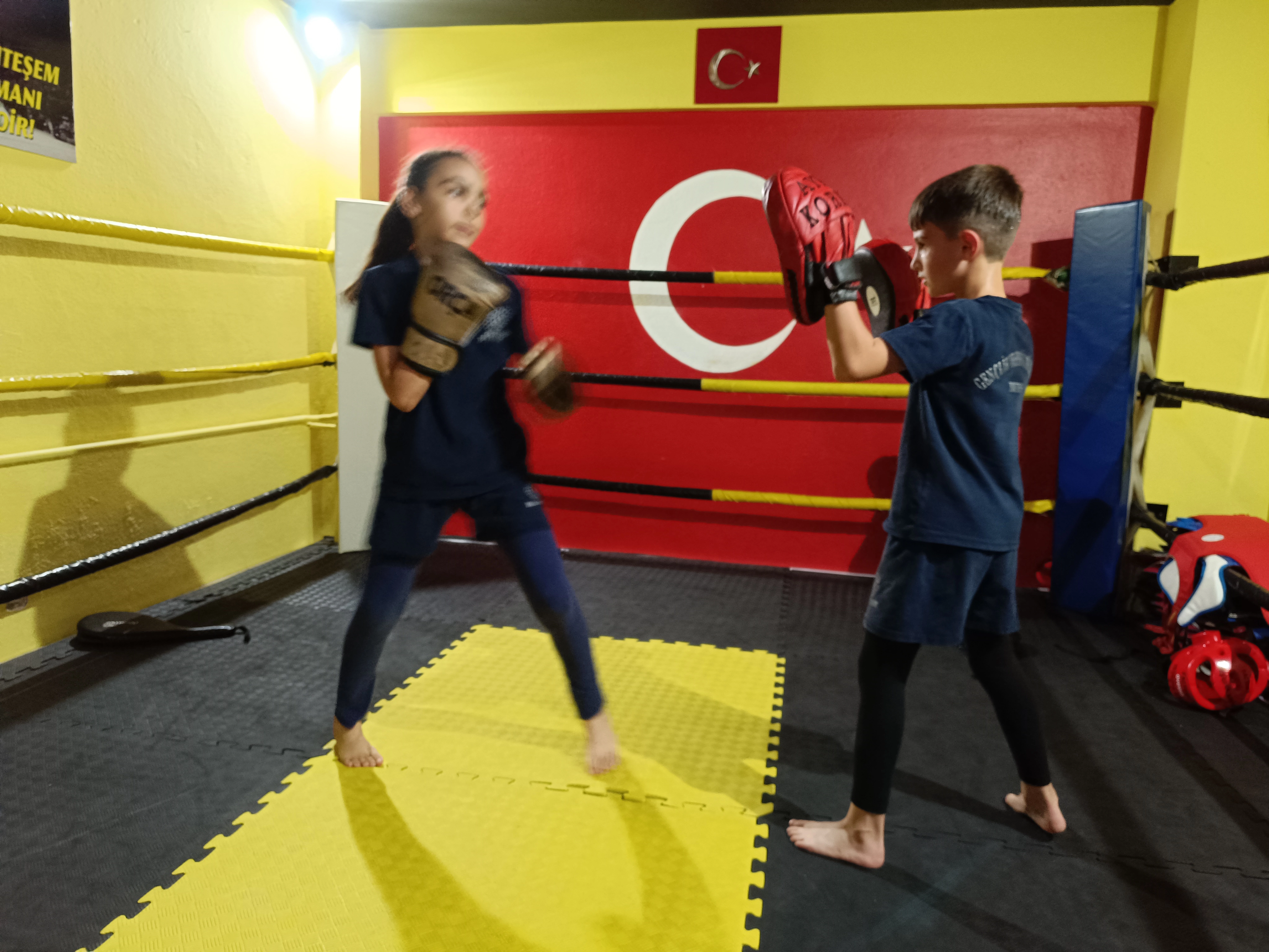 Rink çalışmaları 