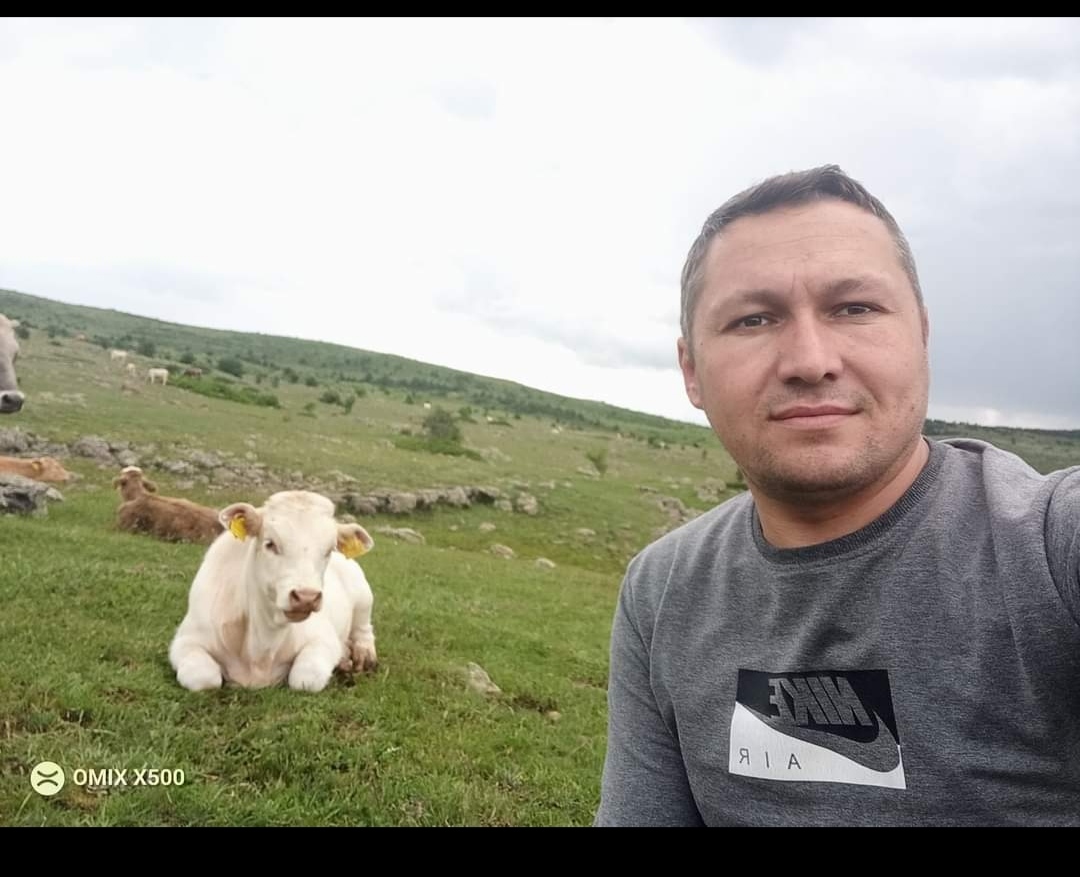 KANTAR HAYVANCILIK Çankırı Büyükbaş Hayvan Alım Satımı İşi Yapanlar