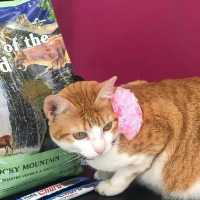 Berke Petshop Altınoluk Petshop Pet Aksesuar Mama Satışı