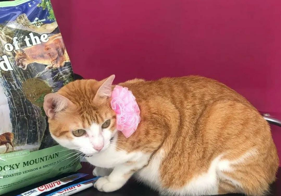 ALTINOLUK MAMA SATIŞI 