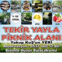 Tekir Yayla Onikişubat En Yakın Piknik Yeri Nerede 
