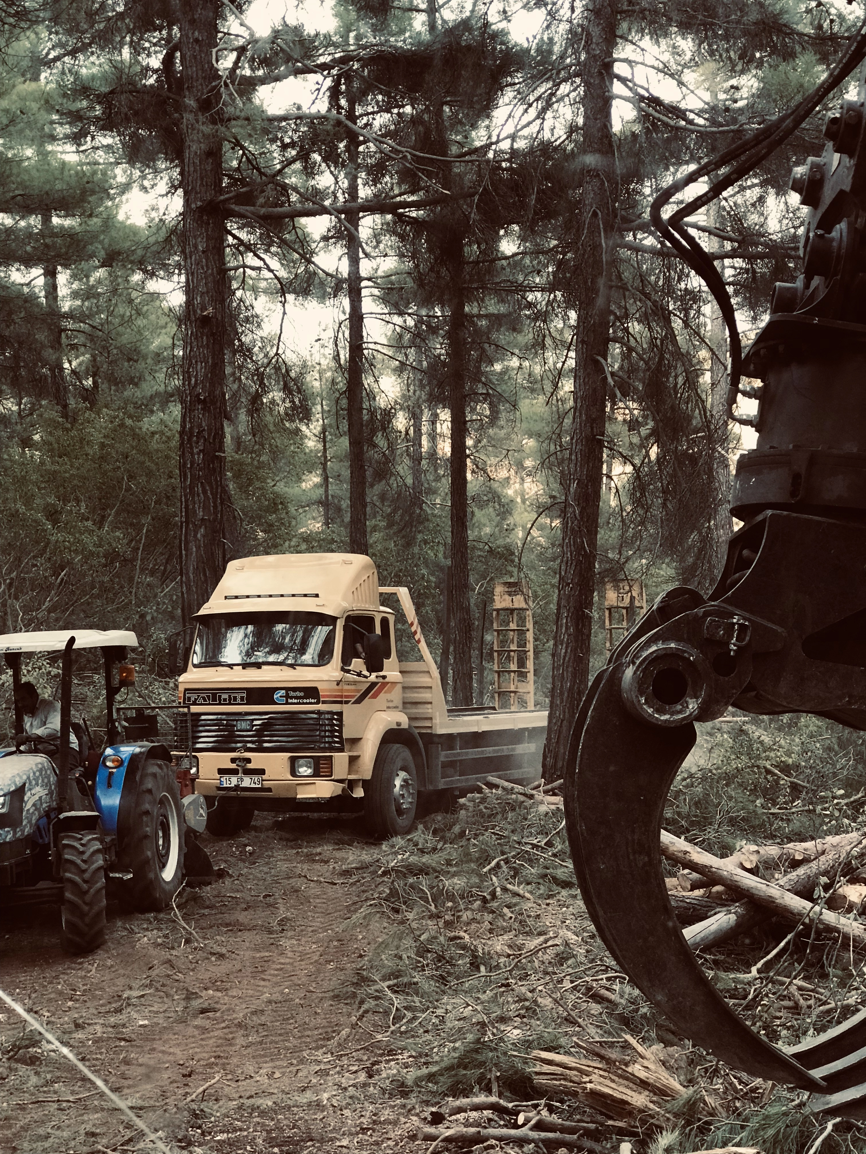 ORMAN KESİM İŞLERİ VE NAKLİYE&HAFRİYAT