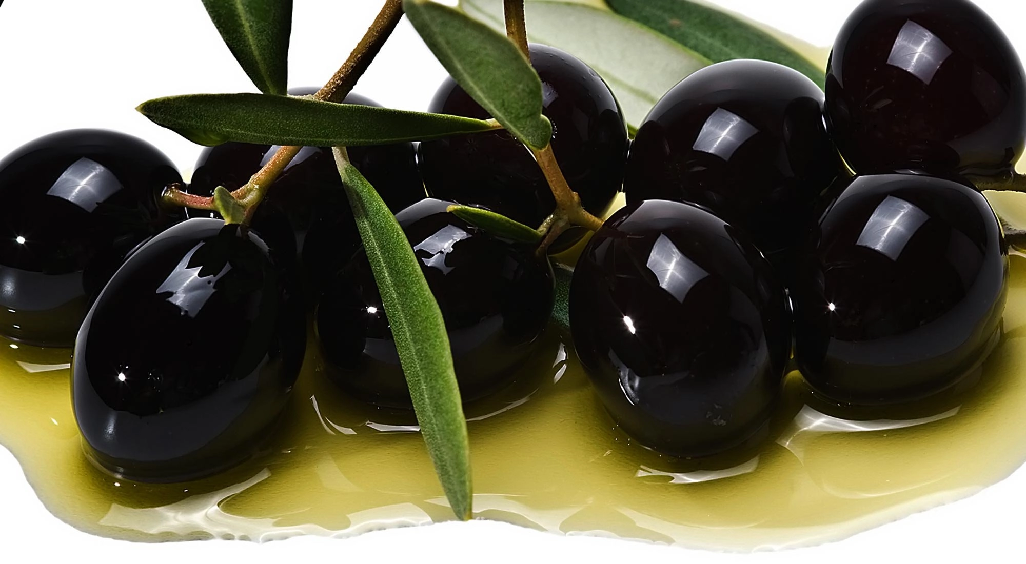 BERGAMA ZEYTİN ÇEŞİTLERİ