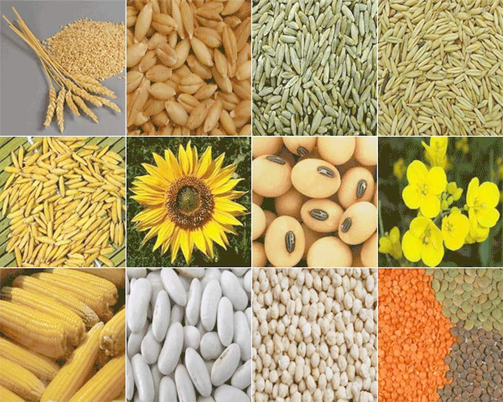 Siverek Tarım Ürünleri Satışı