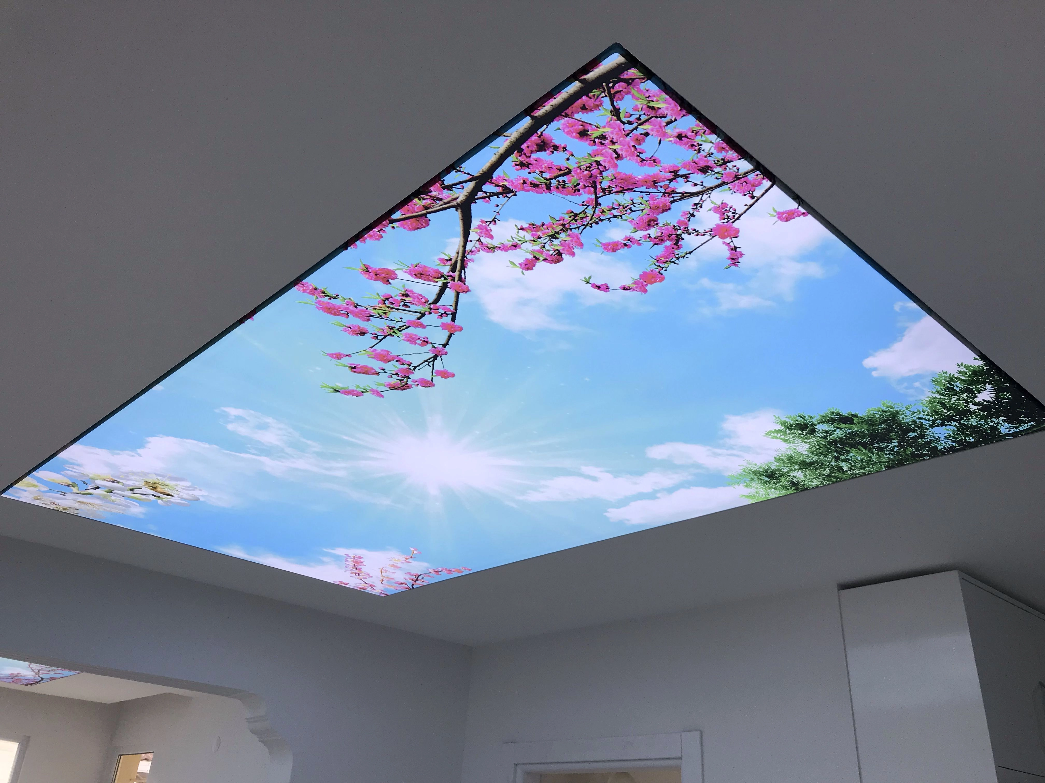 Mersin Asma Tavan Gergi Tavan Uygulama