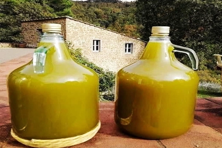 Kemalpaşa Toptan Zeytin Yağı Üretimi
