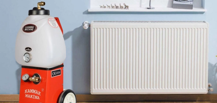 KIRKLARELİ MERKEZ PETEK TEMİZLEME